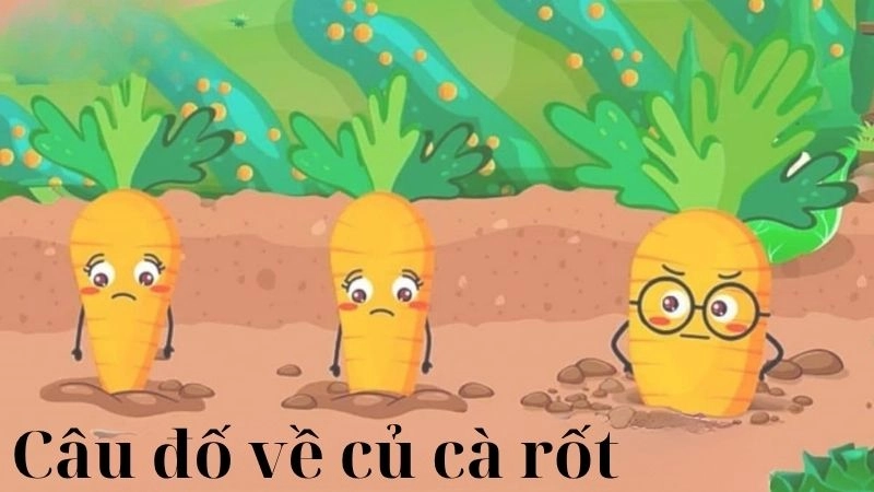 Tuyển tập câu đố về củ cà rốt cực vui dành cho bé