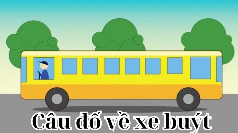 Giải mã loạt câu đố về xe buýt siêu hài hước và siêu hot