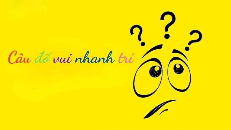 Khám phá những câu đố vui nhanh trí thử thách trí tuệ