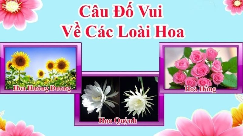 Trọn bộ câu đố vui về hoa thông minh dí dỏm và sáng tạo Trọn bộ câu đố vui về hoa thông minh dí dỏm và sáng tạo