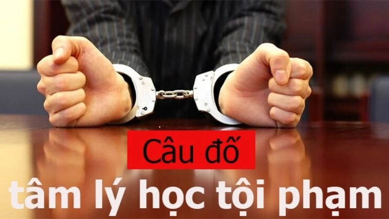 Tổng hợp câu đố tâm lý học tội phạm đầy tính ám ảnh