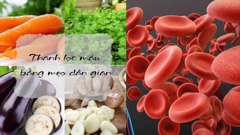 Bí quyết thanh lọc máu bằng phương pháp dân gian xưa