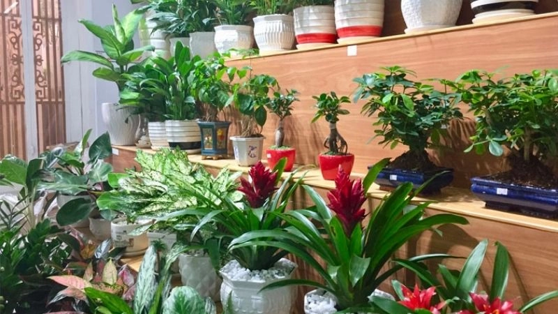 Mẹo dân gian buôn bán đắt hàng được tiểu thương áp dụng