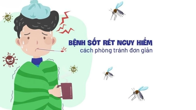 Tổng hợp mẹo dân gian chữa sốt rét đơn giản tại nhà