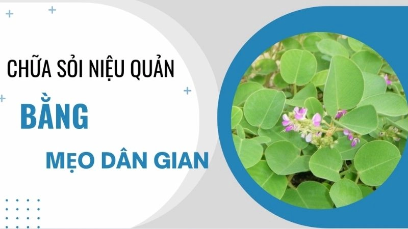 Hé lộ mẹo dân gian đánh tan sỏi niệu quản tại nhà