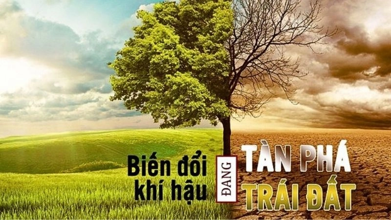 Cảnh báo toàn cầu về tác hại biến đổi khí hậu không ngờ tới