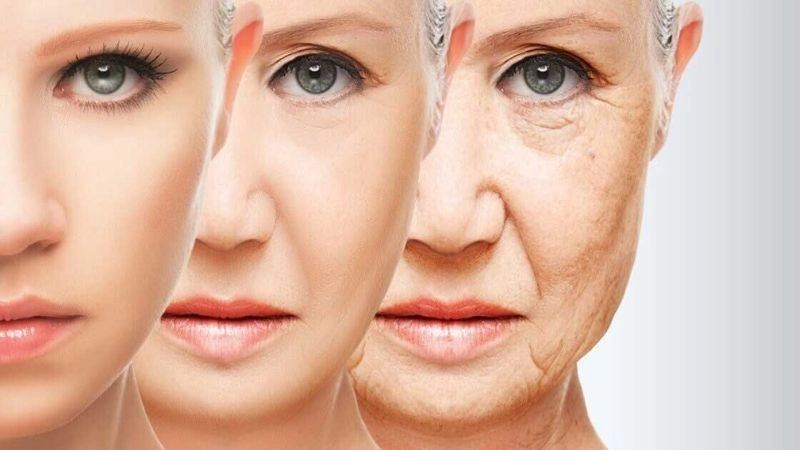 Tác hại của đường tinh luyện gây lão hóa sớm