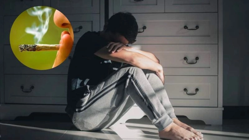 Tác hại của cần sa tiềm ẩn sau cảm giác thoải mái