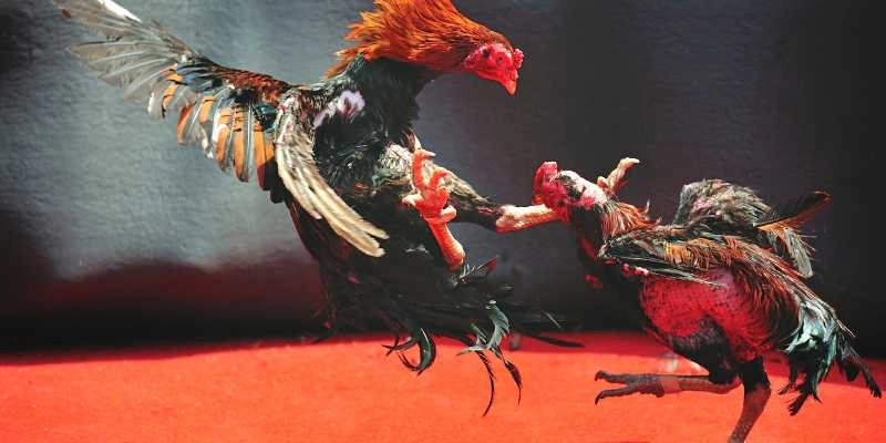 Lợi ích của việc nắm vững thuật ngữ