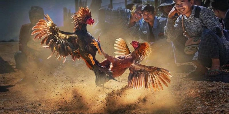 Làm thế nào để học thuật ngữ nhanh chóng?