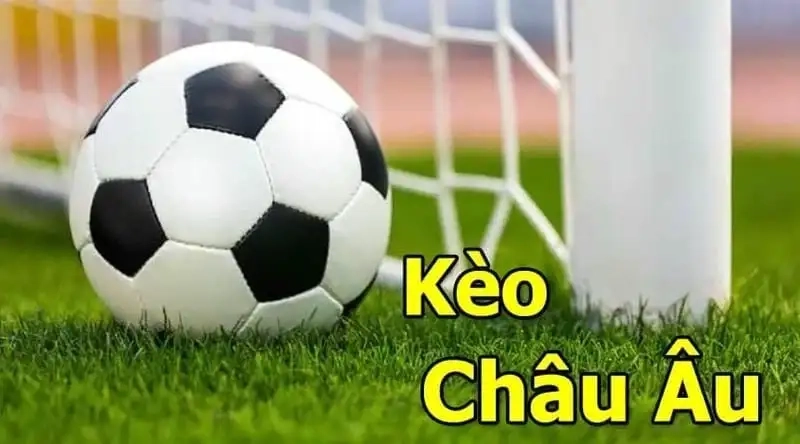 Hướng dẫn đọc kèo châu Âu 8kbet chuẩn xác