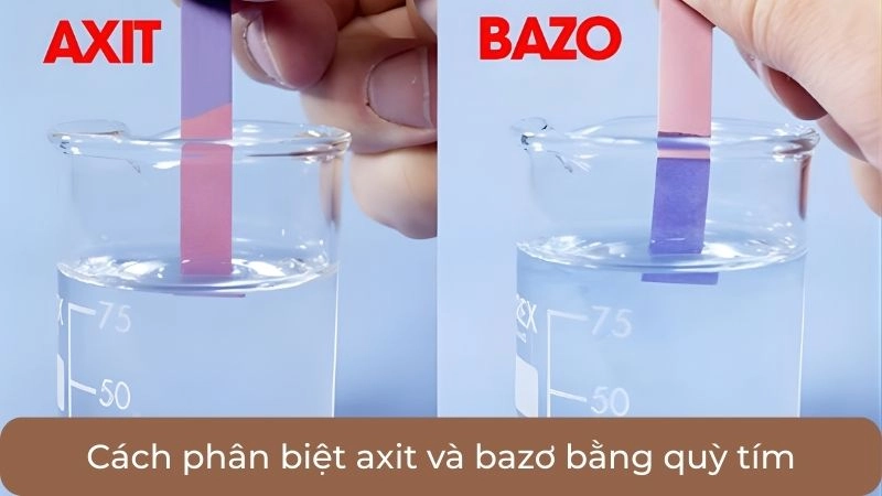 Cách phân biệt axit và bazơ bằng quỳ tím và giấy thử pH