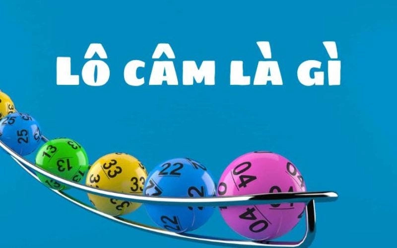 6 Dấu Hiệu Cầu Báo Lô Câm Sắp “Bùng Nổ” Bạn Phải Nhớ 