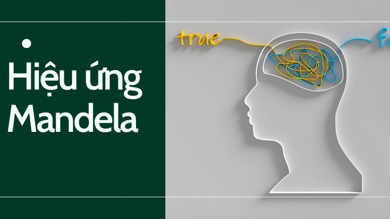 Giải mã hiệu ứng Mandela bằng các thiết bị hỗ trợ ghi nhớ