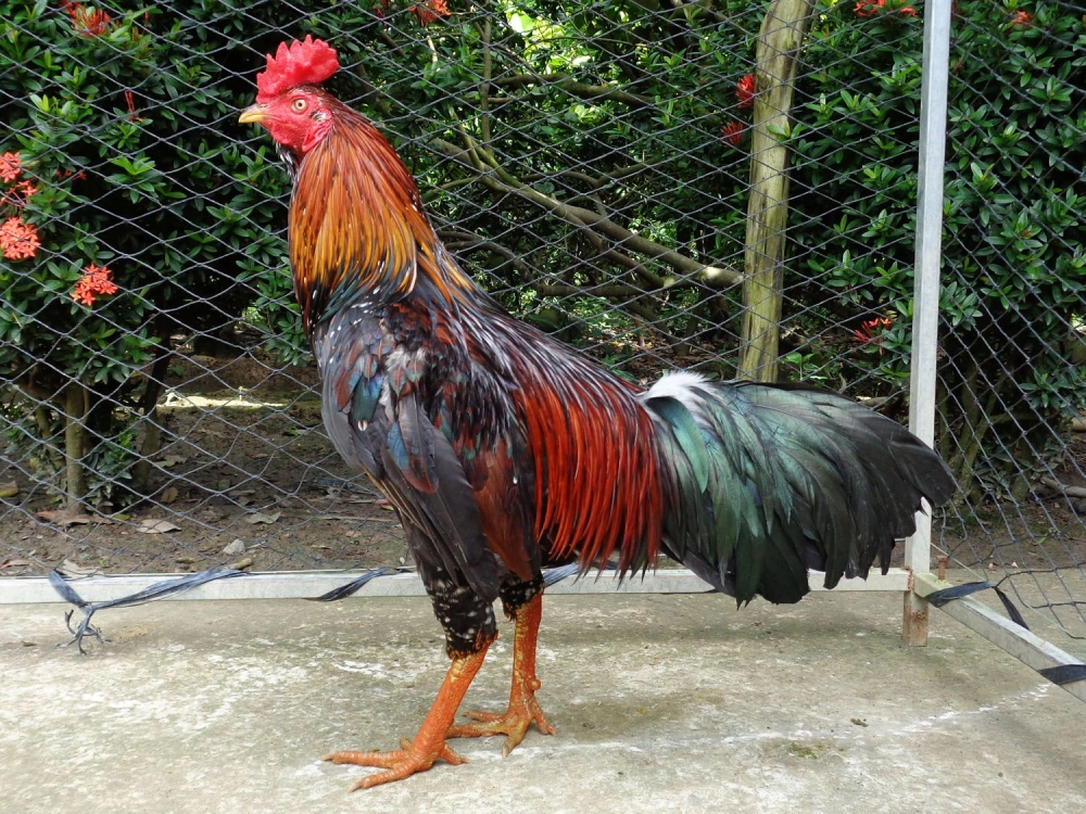 Các phương pháp chăm sóc sức khỏe và phòng bệnh hiệu quả