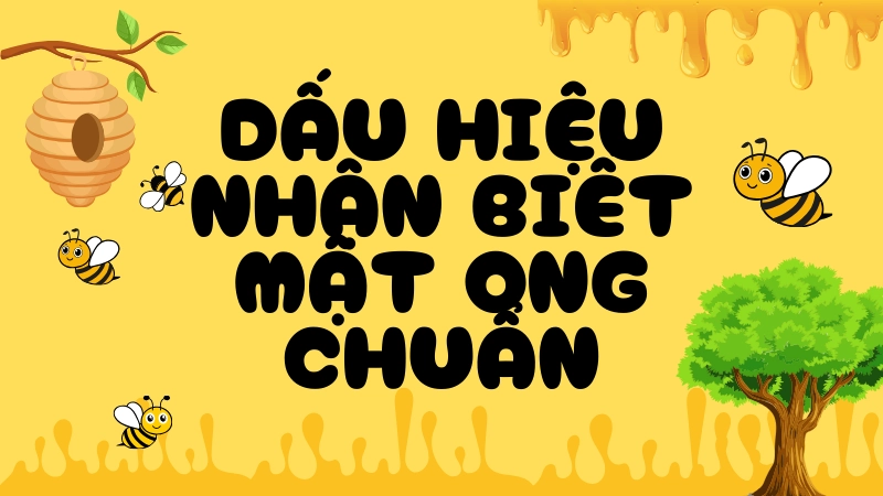 Mẹo phân biệt mật ong thật và giả chuẩn xác ngay tại nhà