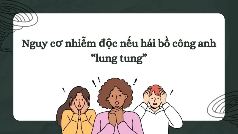 Nguy cơ nhiễm độc nếu hái bồ công anh “lung tung”