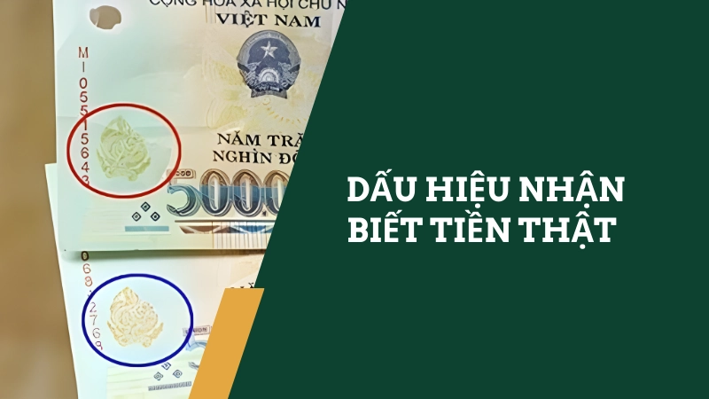Cách nhận biết tiền thật và tiền giả một cách chính xác nhất