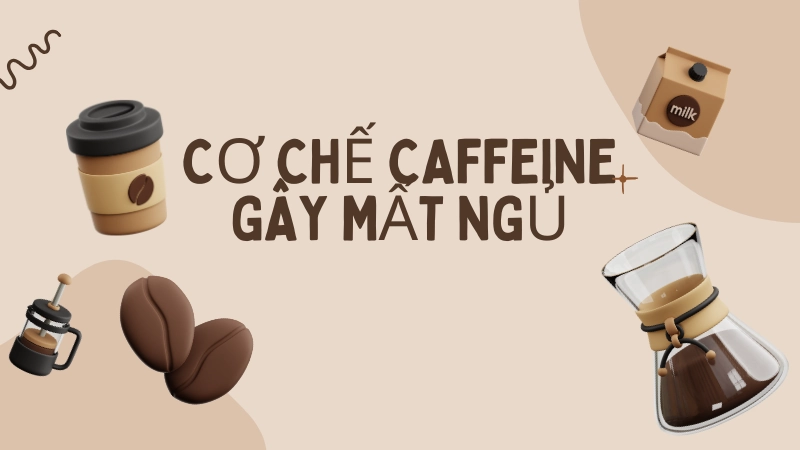 Sự thật về tác hại của caffeine lên cơ thể ít ai biết đến