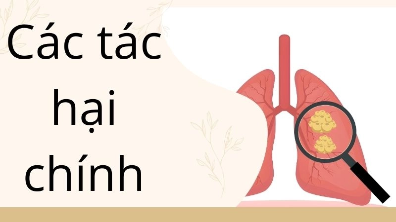 Các tác hại chính ảnh hưởng đến hệ hô hấp và miễn dịch