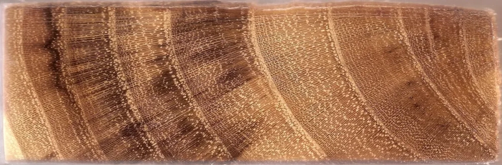 Các loại vân gỗ quý xoắn tạo điểm nhấn cho nội thất