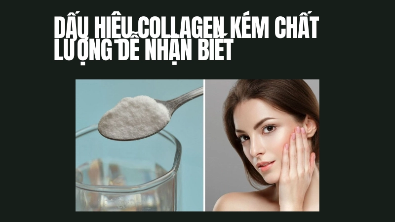 Kinh nghiệm nhận biết collagen kém chất lượng chuẩn xác