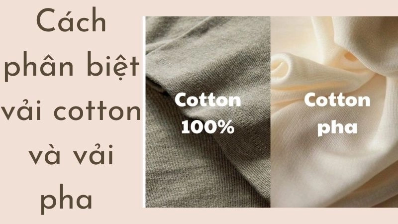 Cách phân biệt vải cotton và vải pha tránh mua nhầm