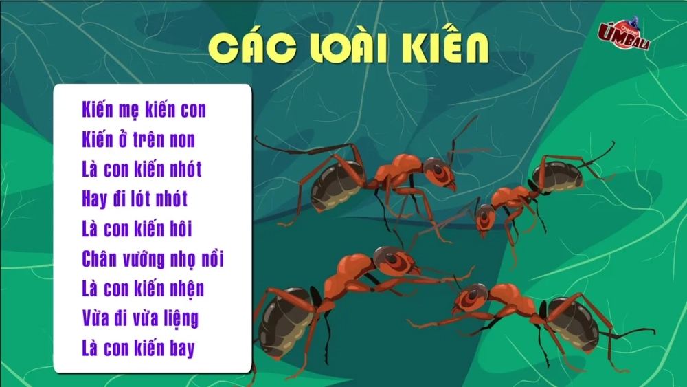 Đồng dao về các loài vật - Giai điệu dân gian cho bé