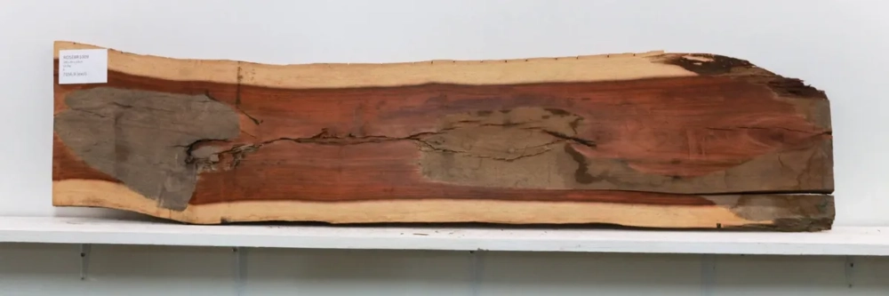 Vẻ đẹp kỳ ảo của các loại vân gỗ quý nu quý hiếm