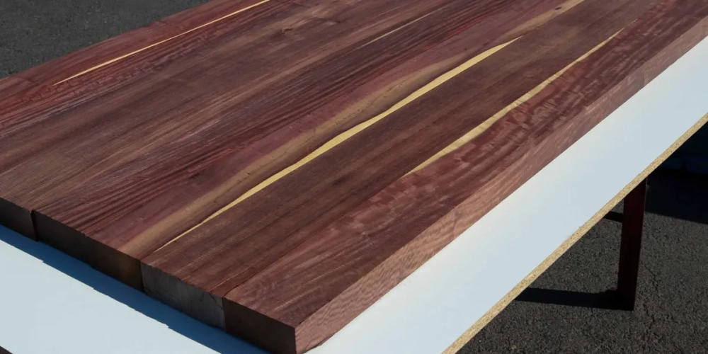 Tấm gỗ lớn trưng bày các loại vân gỗ quý hiếm