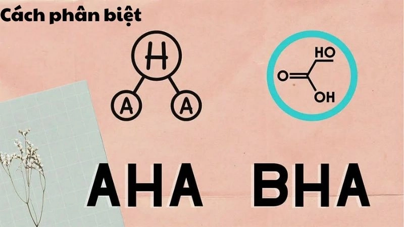 Cách phân biệt AHA và BHA chuẩn chuyên gia da liễu Mỹ
