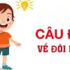 Giải mã câu đố về đôi mắt khiến trẻ thích mê không dứt