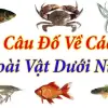 Tuyển chọn câu đố động vật dưới nước cực kỳ sinh động