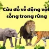 Câu đố động vật sống trong rừng nâng cao trí tưởng tượng