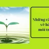 99% trả lời sai những câu đố vui về bảo vệ môi trường này