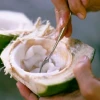 Ăn cùi dừa có hại không phân tích chuyên sâu tác hại và lợi ích sức khỏe