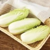 Cải thảo những tác hại tiềm ẩn cần biết trước khi sử dụng