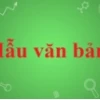 Câu Đố Cấm Nghĩ Bậy Hack Não Thử Thách Tư Duy