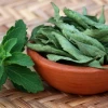 Cỏ ngọt cây thuốc quý và những tác hại cần biết