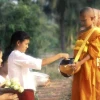 Cung đường là gì? Khái niệm và ý nghĩa trong đời sống