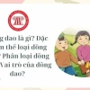 Đặc trưng của đồng dao và giá trị văn hóa dân gian Việt Nam