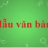 Giải mã những câu hỏi khó nhất thế giới