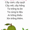 Khám phá đồng dao cây cam cây quýt cho bé và ý nghĩa giáo dục