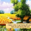 Khám phá Đồng dao về Quê hương Đất nước: Di sản văn hóa Việt Nam