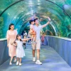 Khám phá những khu vui chơi ở Hà Nội hấp dẫn nhất cho mọi lứa tuổi
