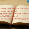 Khám phá thế giới đồng dao về cô giáo
