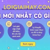 Khu du lịch sinh thái tiếng Anh là gì? Khám phá định nghĩa và thuật ngữ liên quan