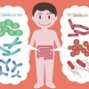 Lợi ích và tác hại của vi khuẩn: Khám phá thế giới vi sinh vật