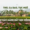 Những câu ca dao về Đồng Tháp: Di sản văn hóa đất Sen hồng