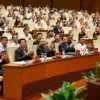 Phân biệt cán bộ, công chức và viên chức theo quy định mới nhất 2026